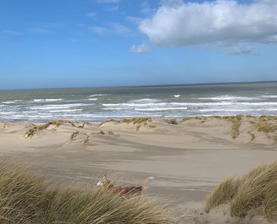 Moderne Studio Aan Het Strand In Oostduinkerke-Bad ก๊กไซเดอ ภายนอก รูปภาพ